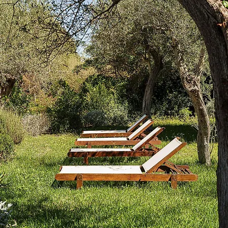 Apartament La Vignoletta, *