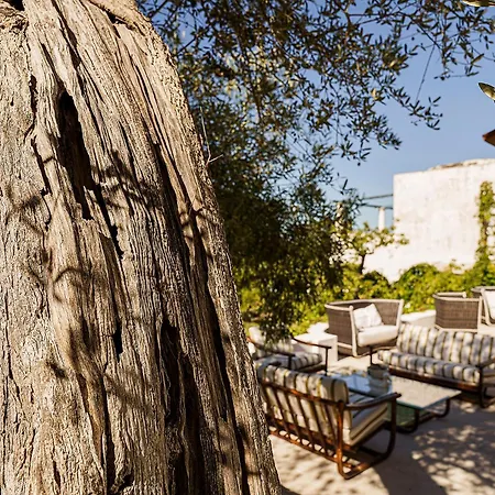 Apartament La Vignoletta,