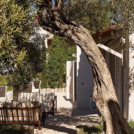 Apartament La Vignoletta, Anacapri (Isola di Capri)
